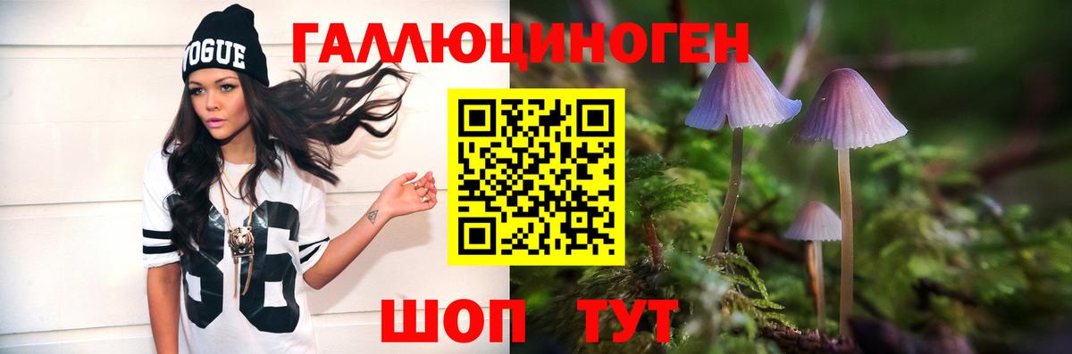 Галлюциногенные грибы MAGIC MUSHROOMS  Вход с VPN  Ипатово  наркотики  Псилоцибиновые грибы Magic Shrooms 